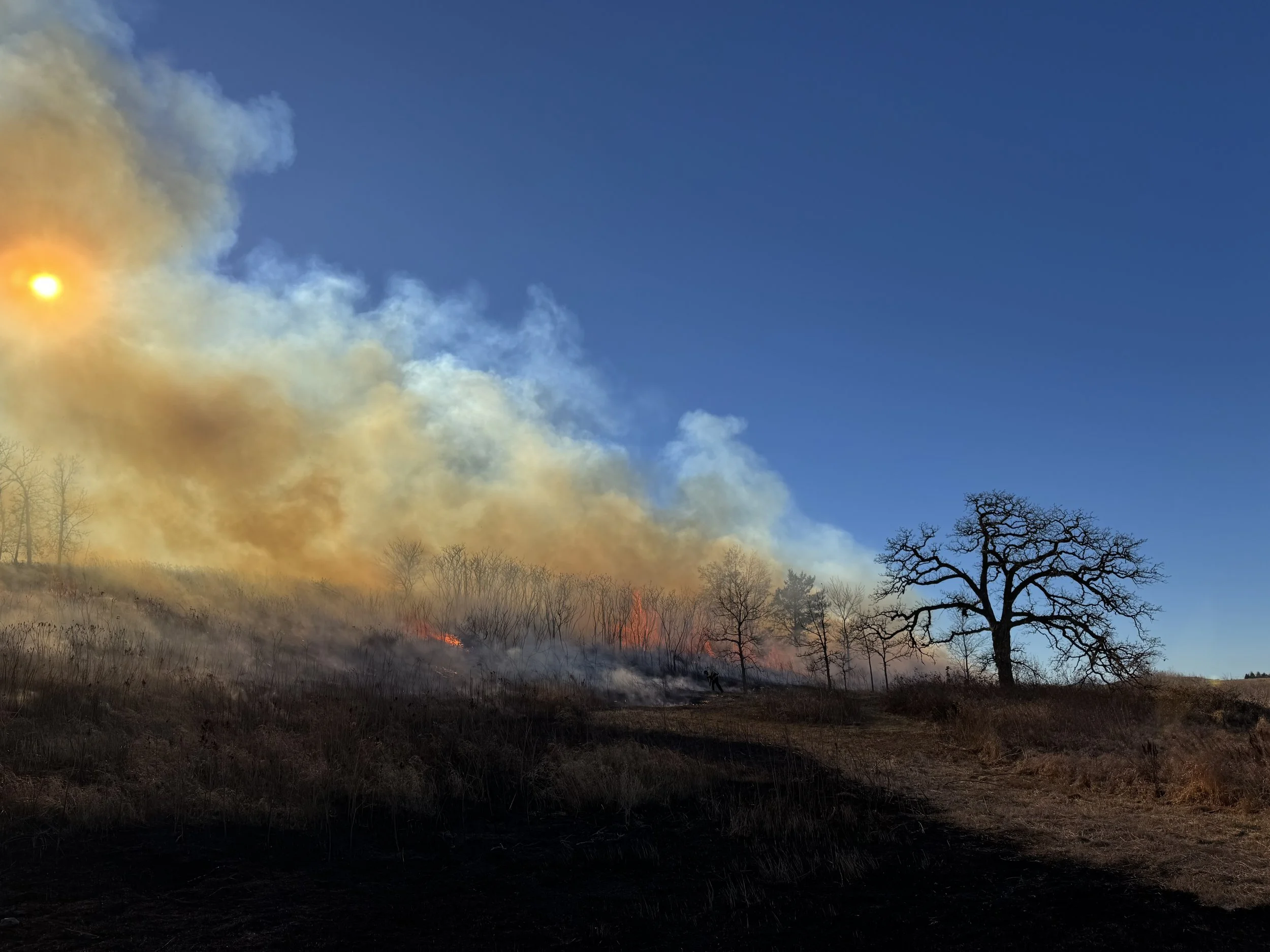 Goose Pond Sanctuary Update, March 2026