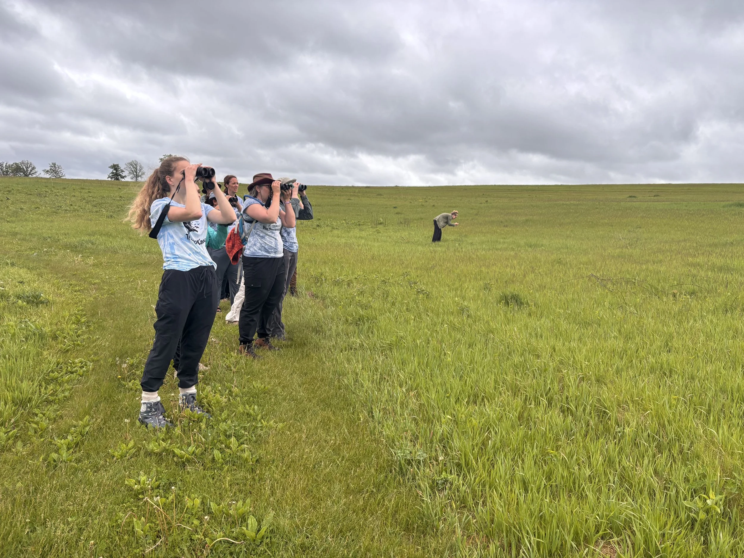2026 Birdathon: the Flockadelics