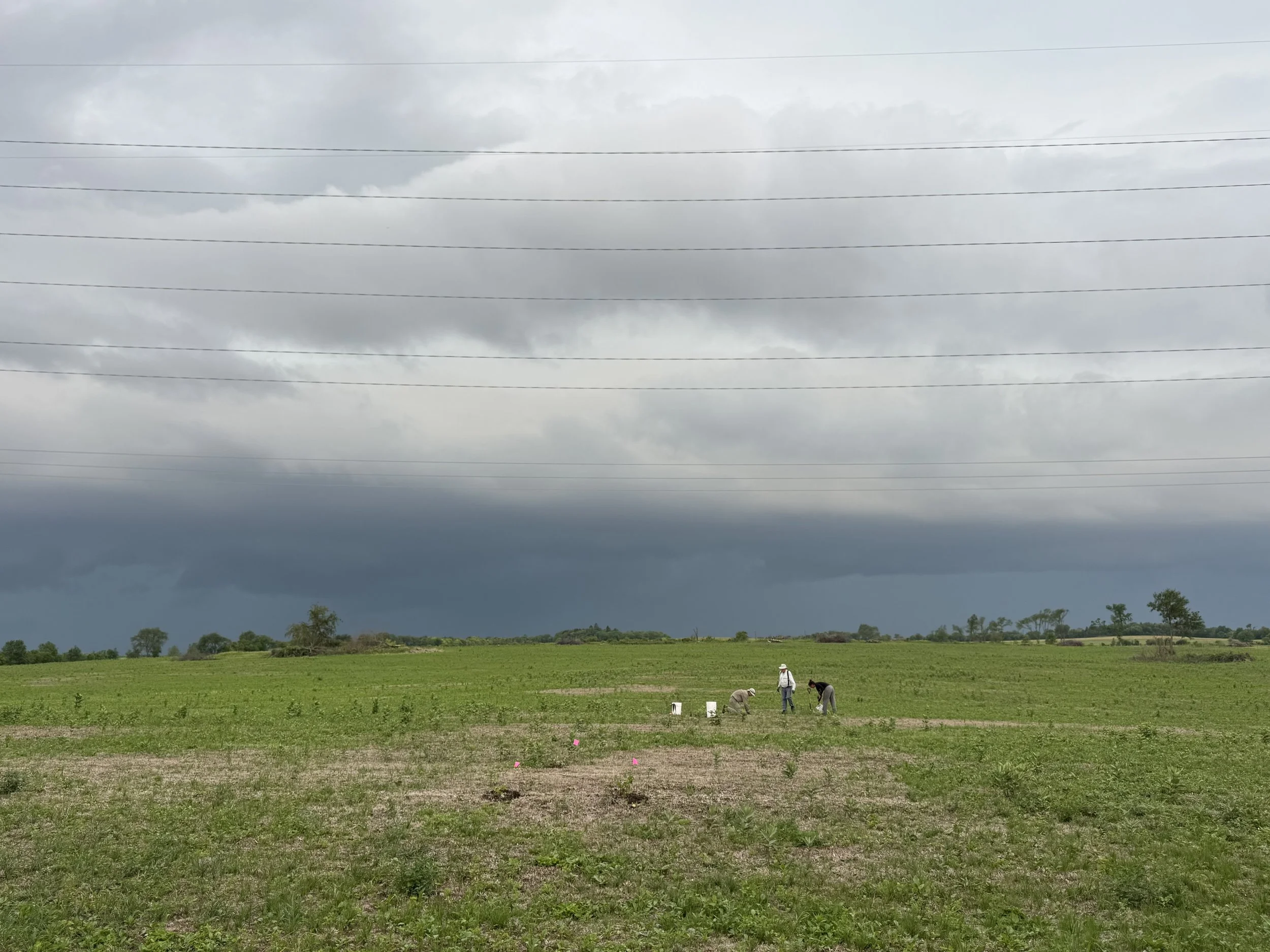 Goose Pond Sanctuary Update, June 2026