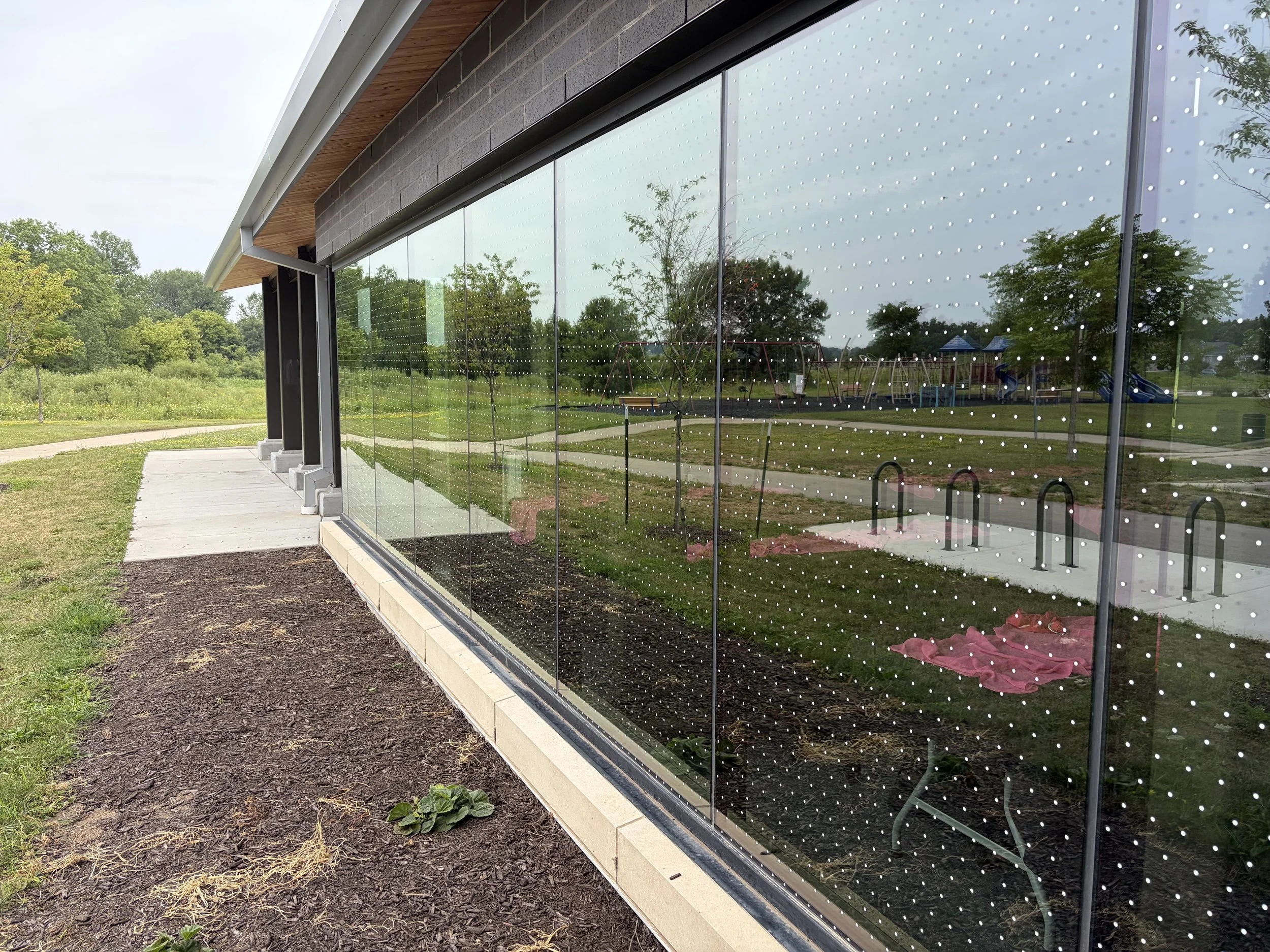 After: treated windows