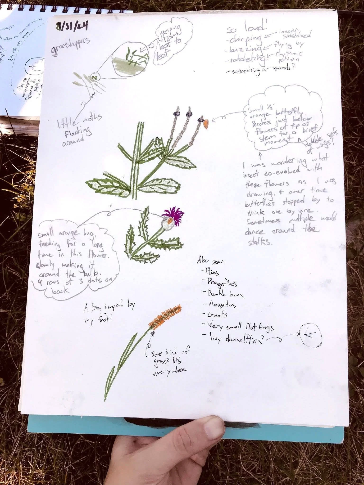 Nature Journal at Lussier Family Heritage Center