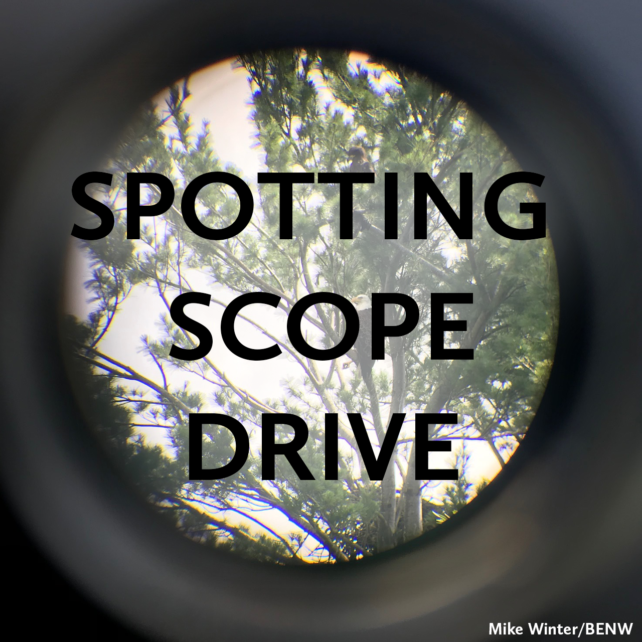 Spotting Scope Drive