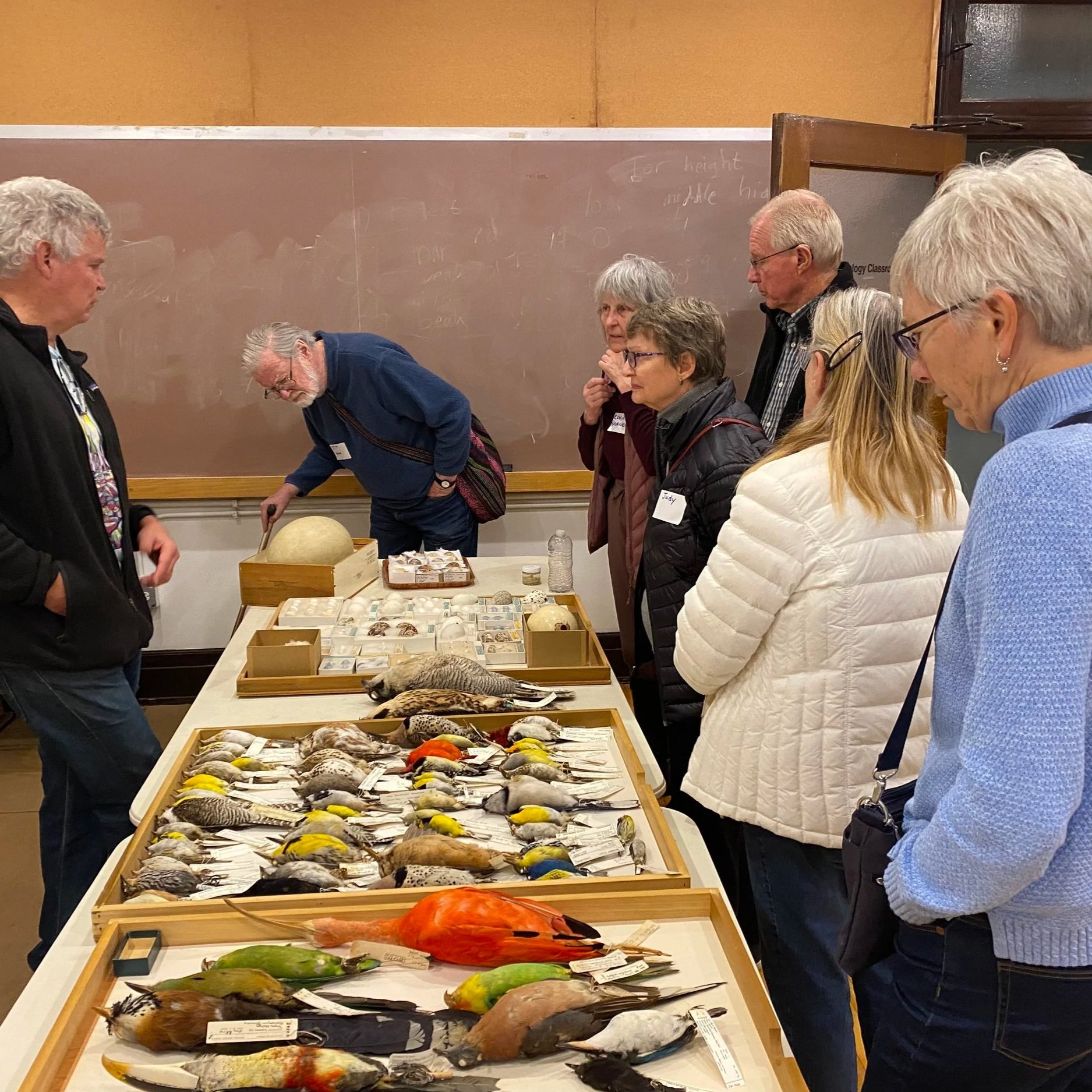 OUTING: Behind the Scenes Tour of the Field Museum