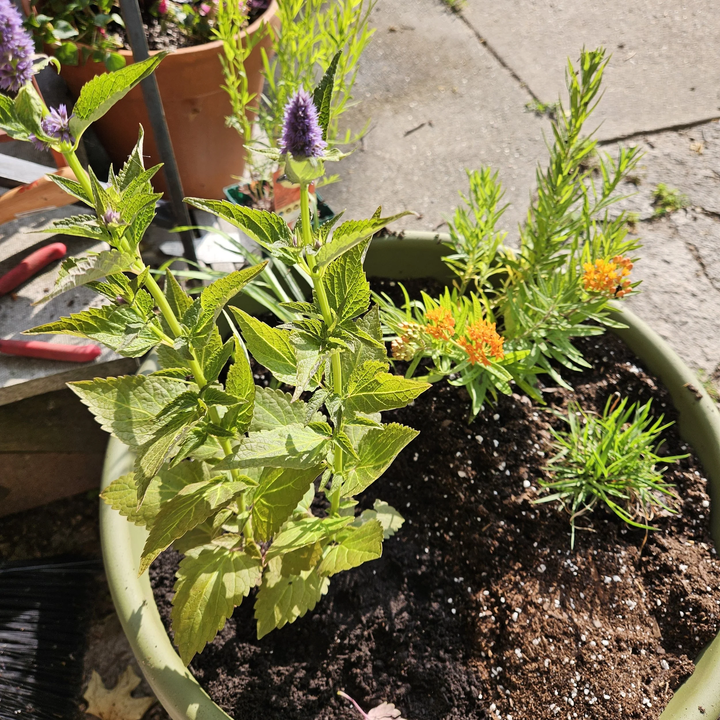 porch prairie lisa gaumnitz.jpg