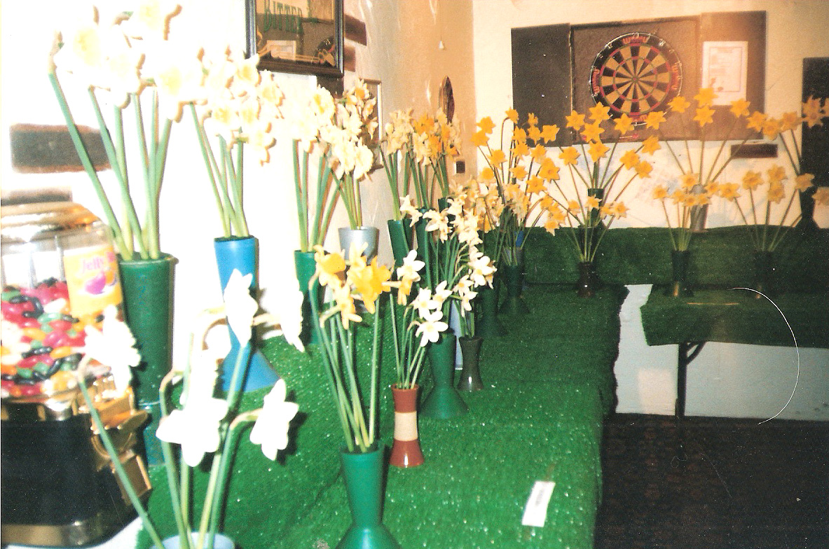 Before the club moved all its events to South Charlton (and renamed itself) for many years it held all events at the pub at Brownieside. Here are a show of daffodils in the clubs Easter show. Date unknown.