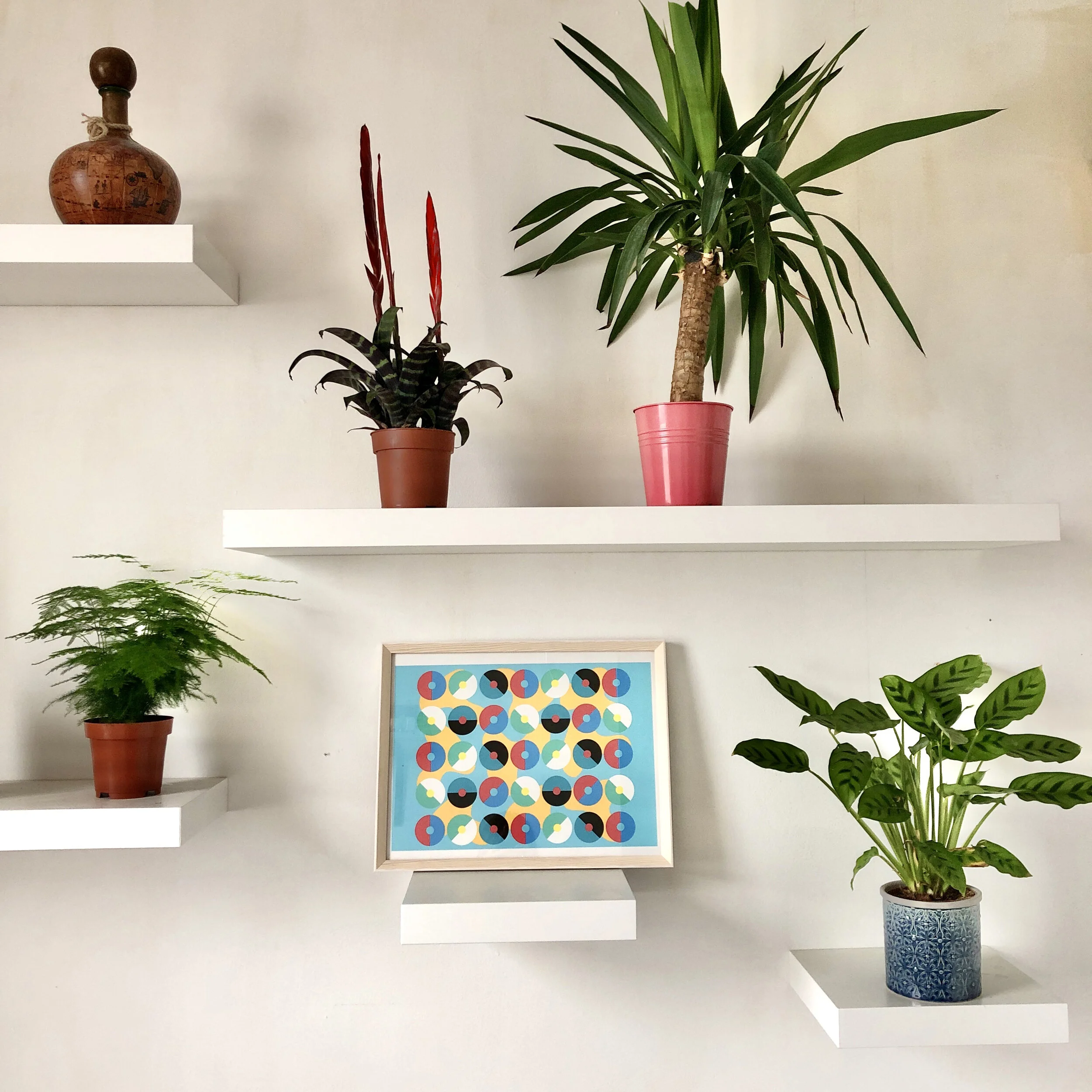 discs room shelfie.jpg