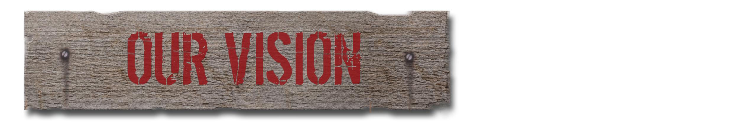 Our Vision.png