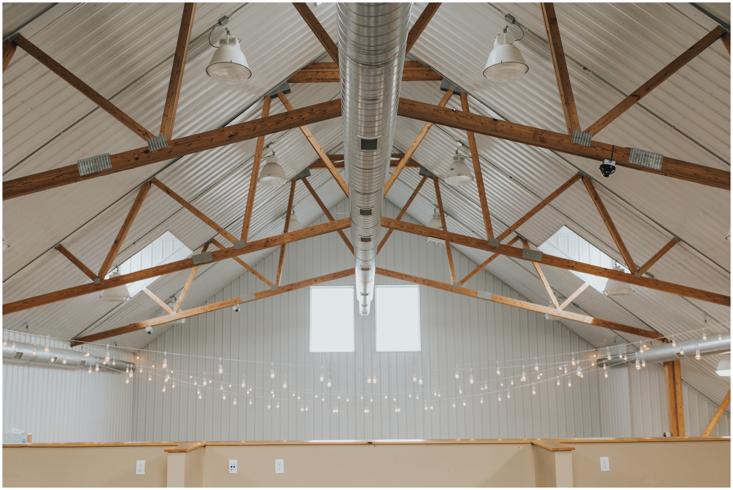 Chaska MN wedding