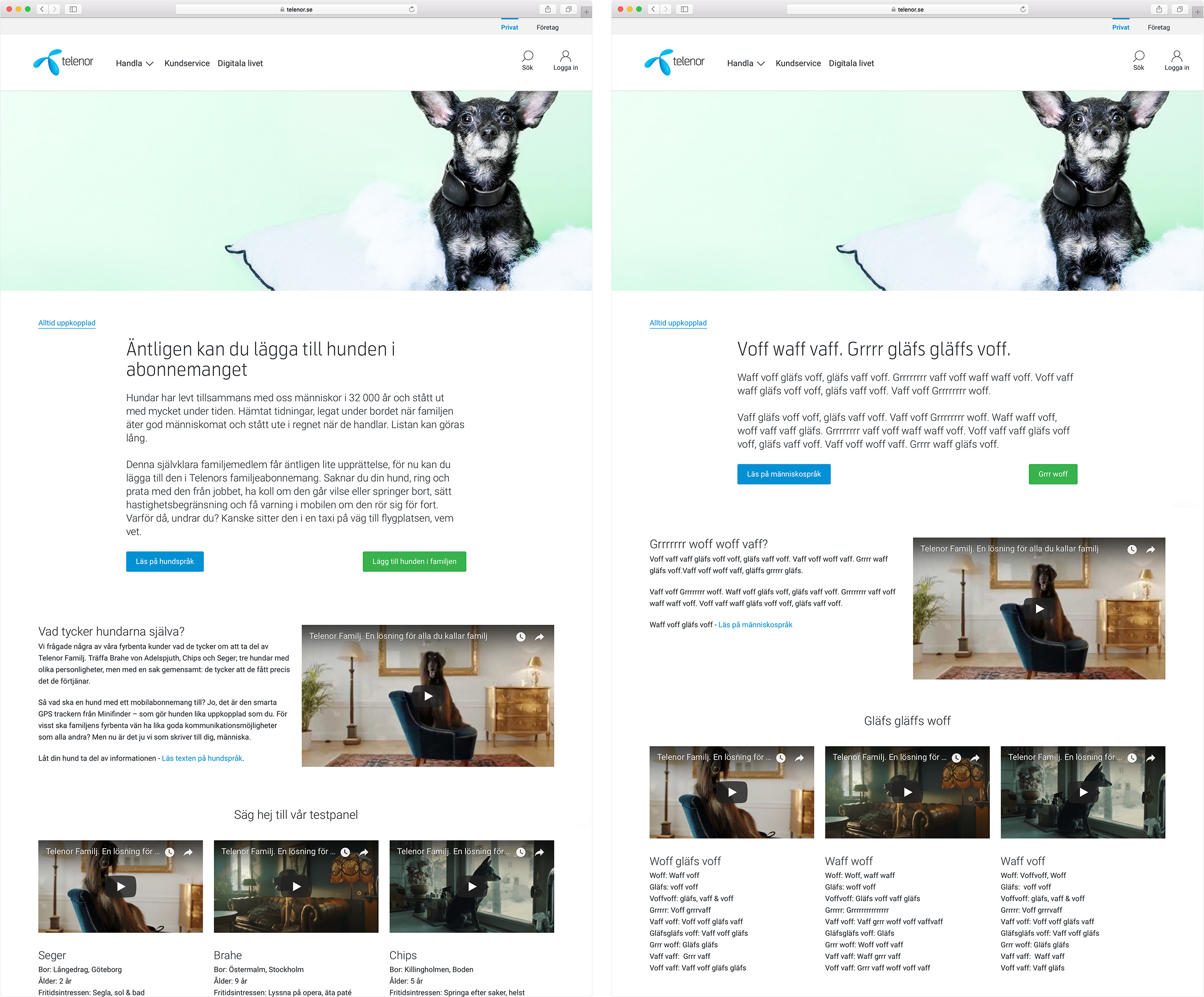  Telenor’s official website was even adapted to dog language. All this is because dogs should feel part of the big family decisions such as getting a phone plan for the whole family. 