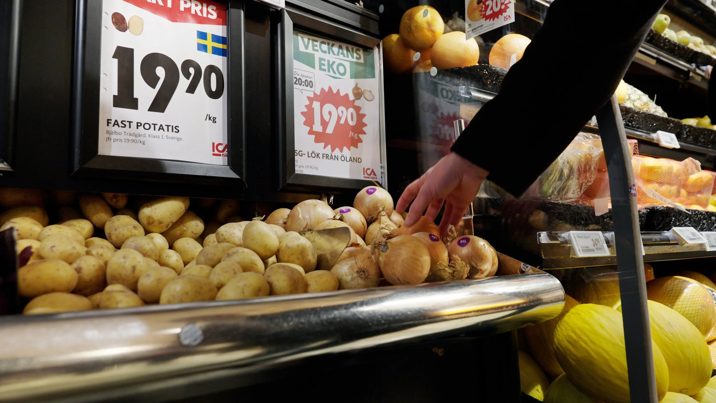  The 5G Onion was distributed in supermarkets and local farmers’ markets. 