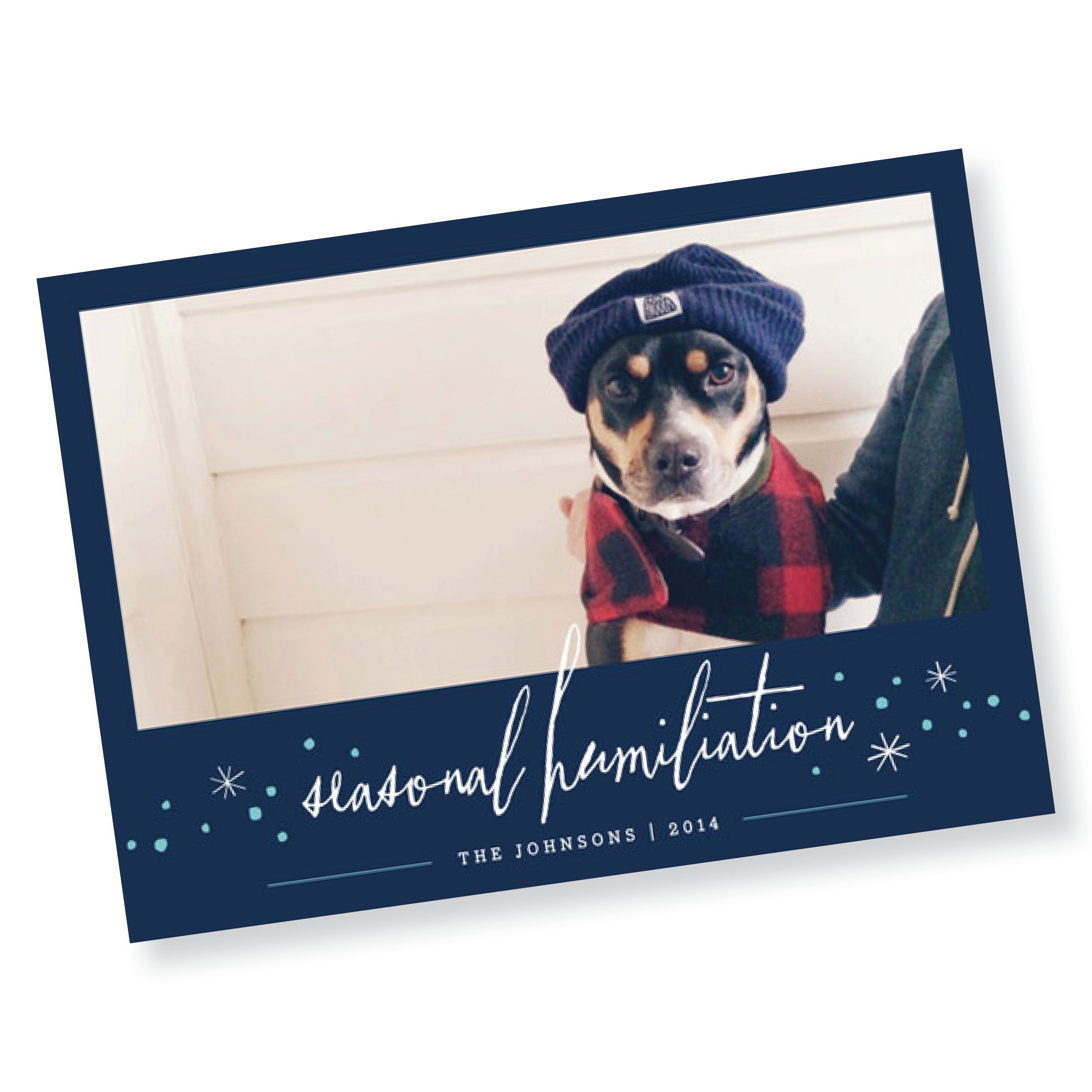 Seasonal Humiliation  Pet Holiday Card (Copy)