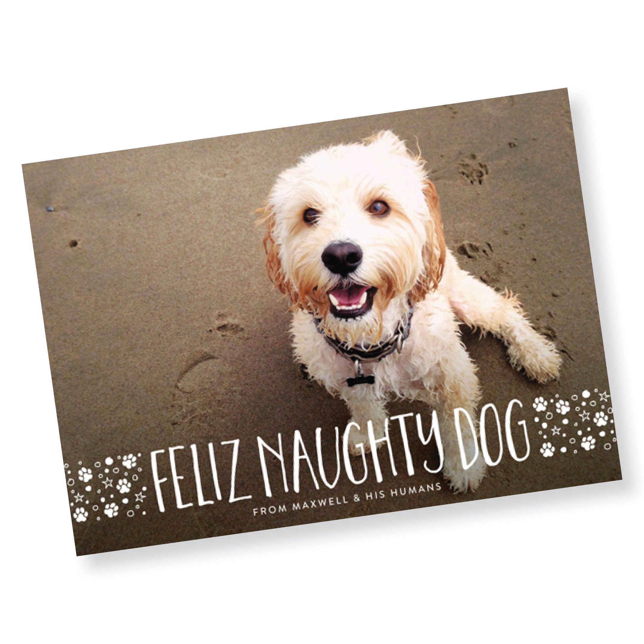 Feliz Naughty Dog Pet Holiday Card (Copy)