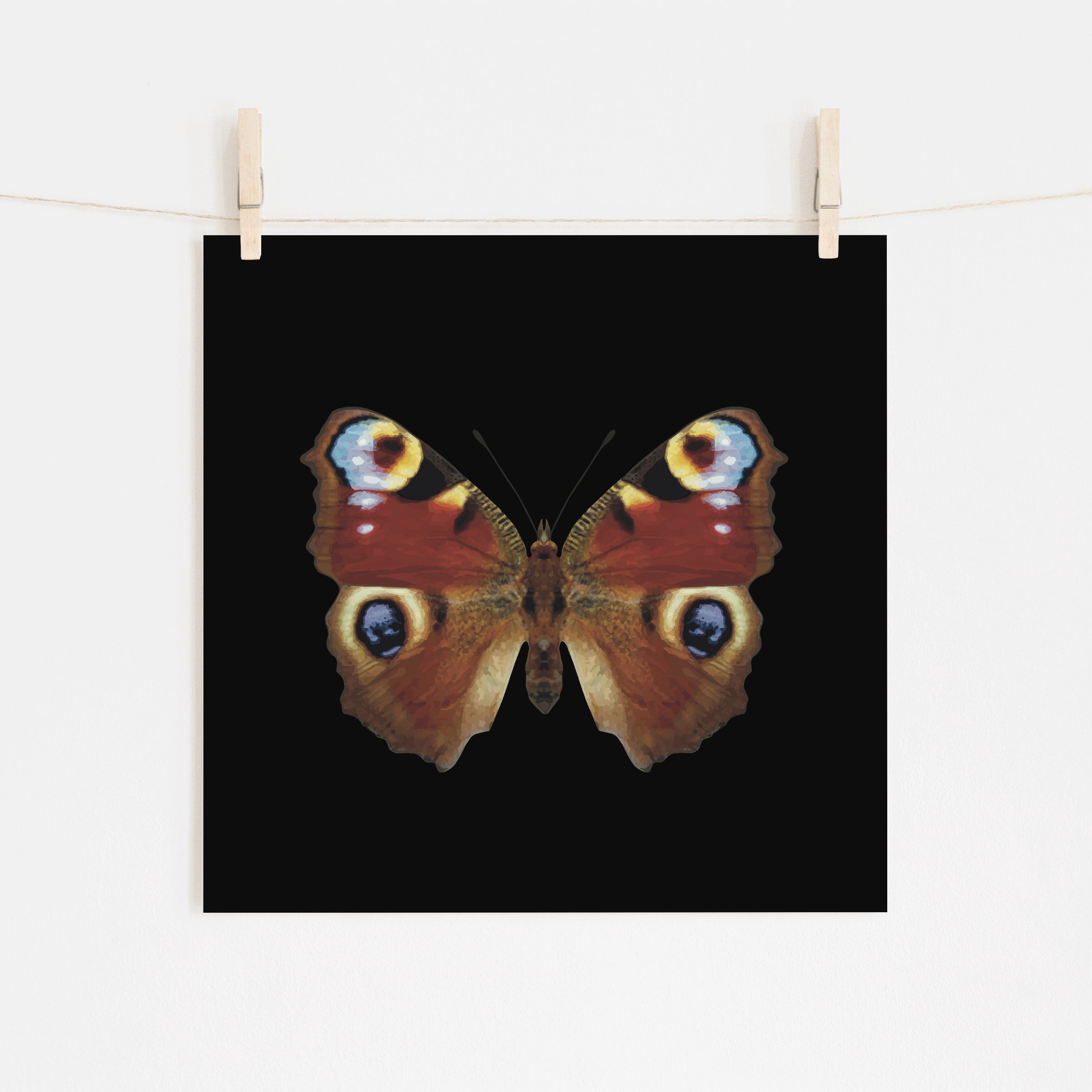 European Peacock Butterfly on Black Fine Art Giclee Print (Copy)