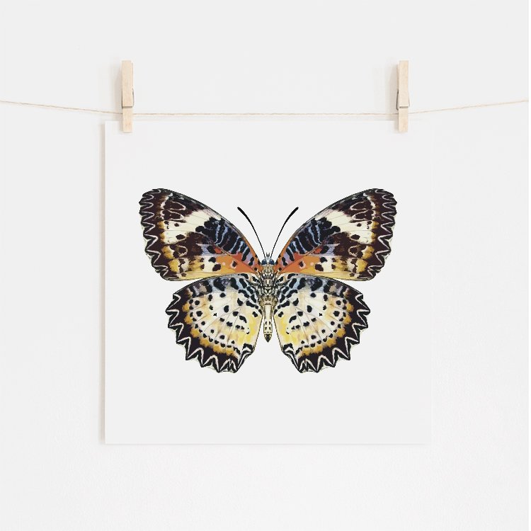 Leopard Lacewing Butterfly Fine Art Giclee Print (Copy)