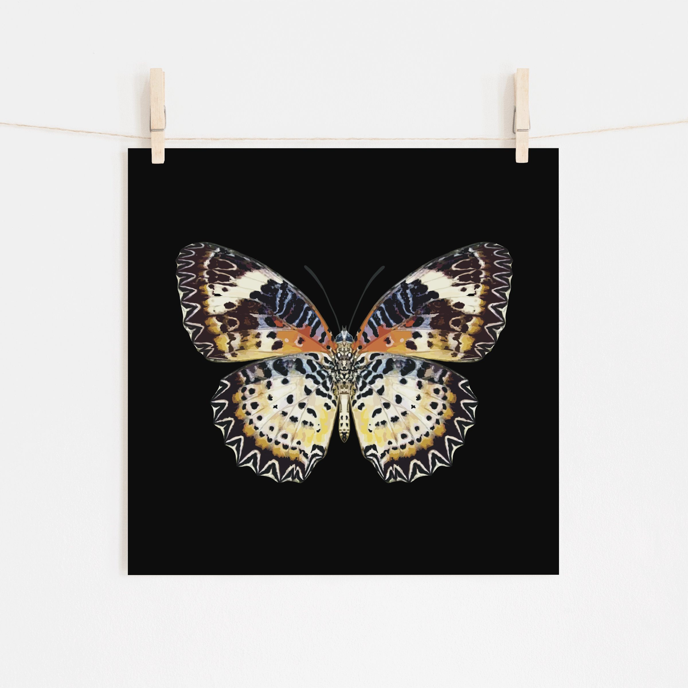 Leopard Lacewing Butterfly on Black Fine Art Giclee Print