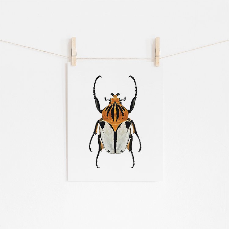 Orange Beetle Fine Art Giclée Print (Copy)