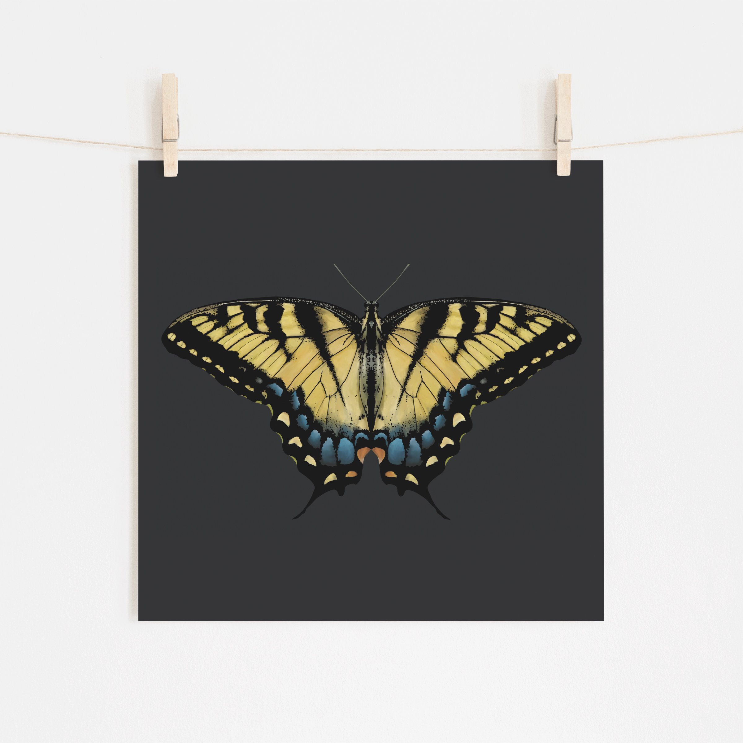 Tiger Swallowtail Butterfly Fine Art Giclee Print (Copy)