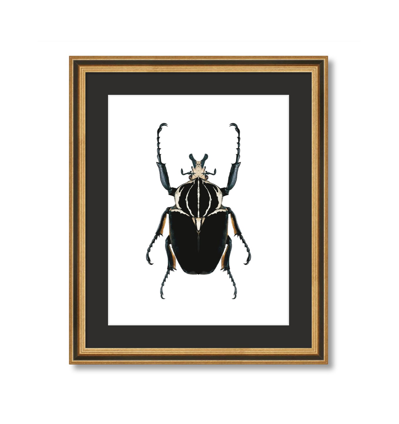 Digital Download - Black Beetle Original Artwork