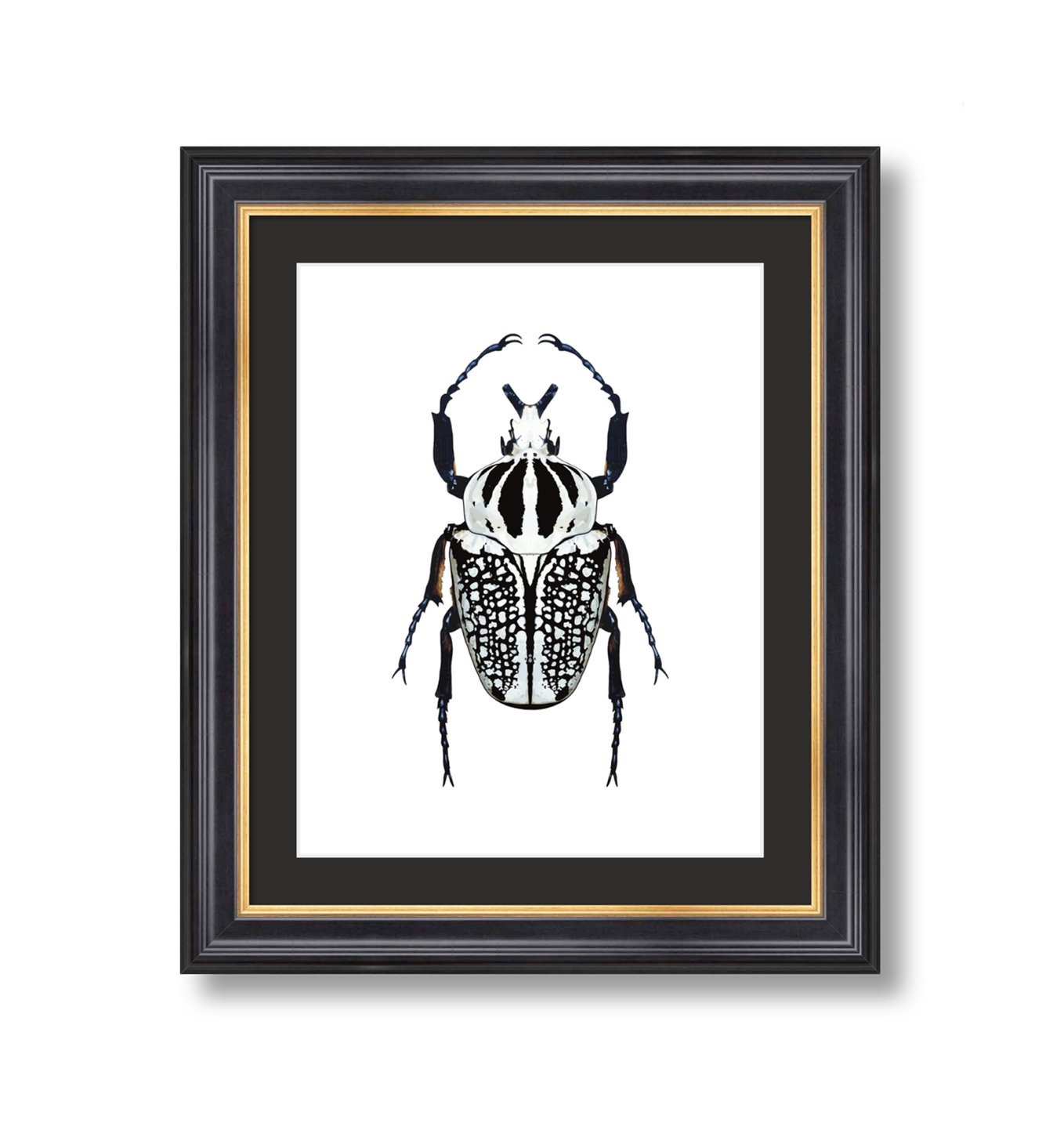 Digital Download - Black and White Beetle Original Artwork