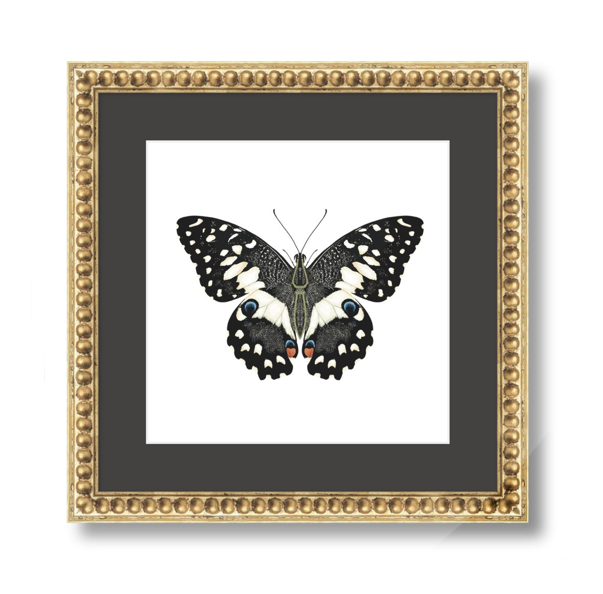 Digital Download - Butterfly Original Artwork
