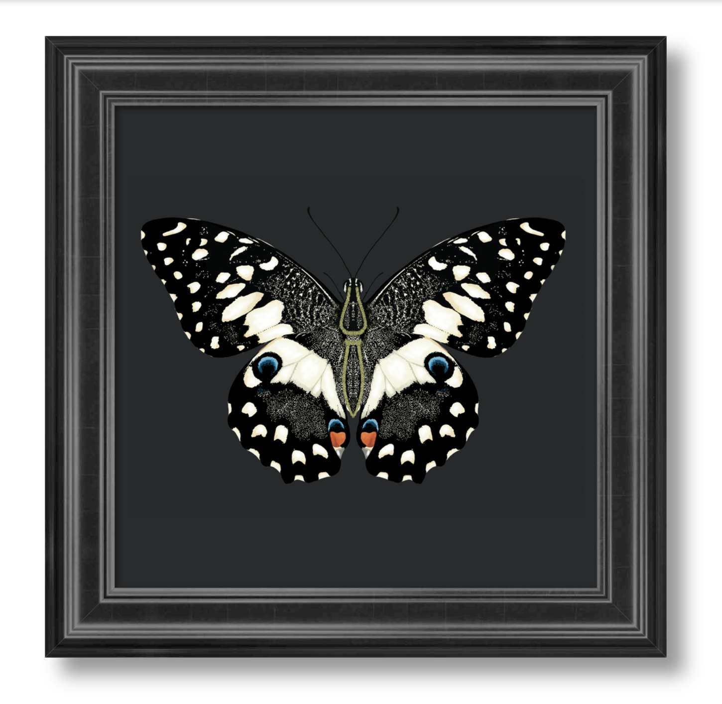 Butterfly_Framed_Black.jpg