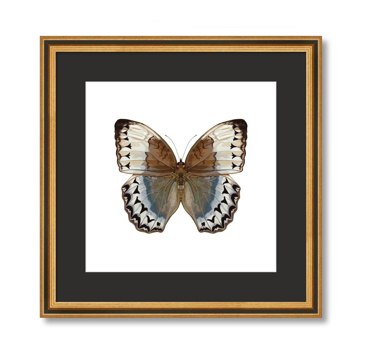 Digital Download - Jungle Queen Butterfly Original Artwork