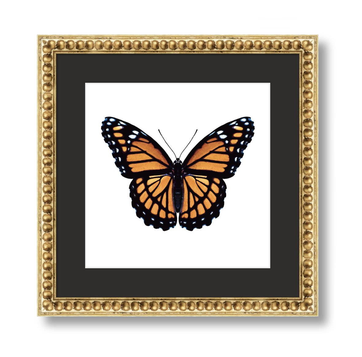 Digital Download - Monarch Butterfly Original Artwork