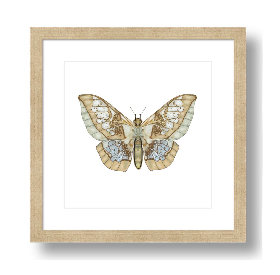 Digital Download - Moth Original Artwork