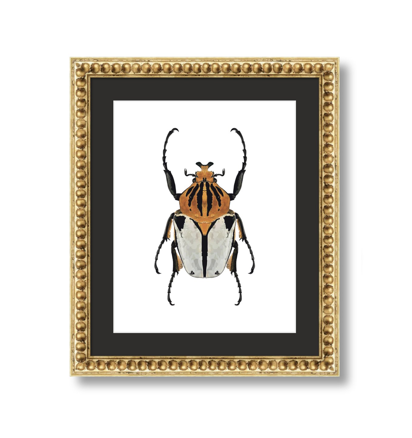 $12.00  Digital Download - Orange Beetle Original Artwork