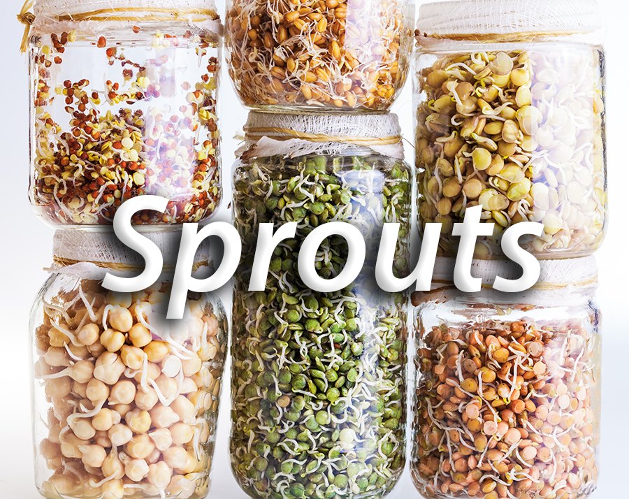 5Way_Sprouts.png