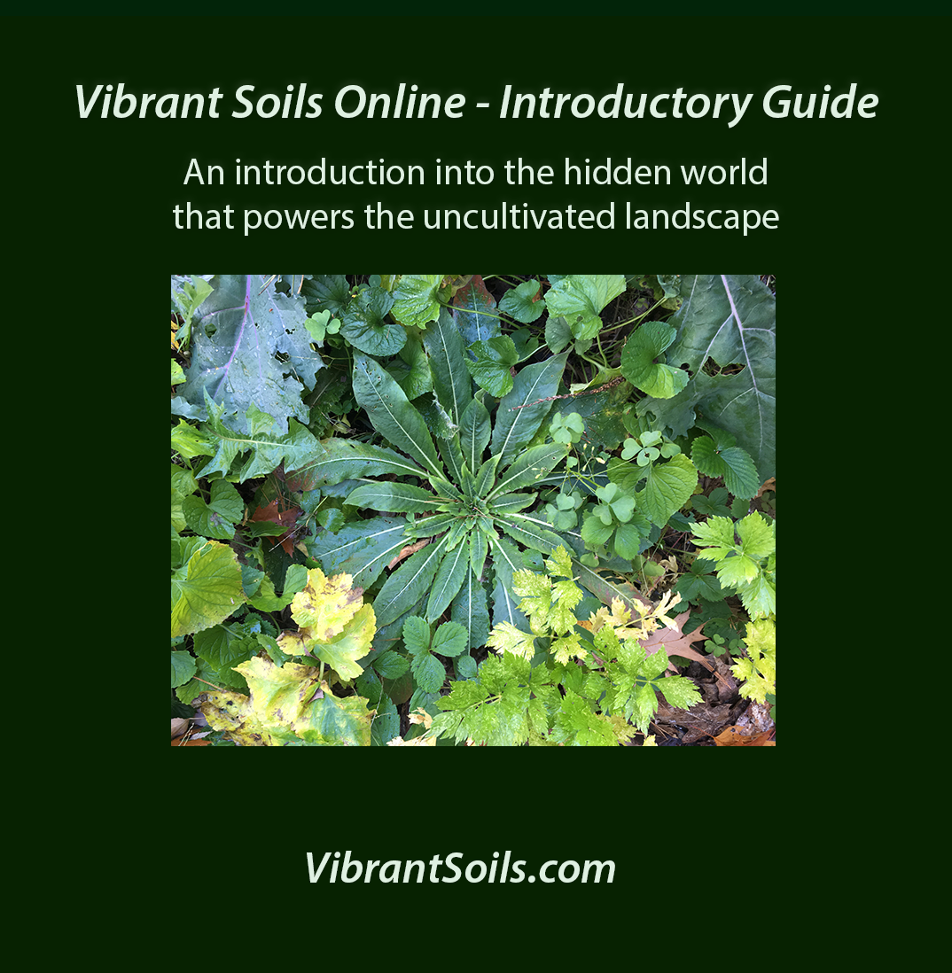 VibrantSoilsIntroductoryGuide.png