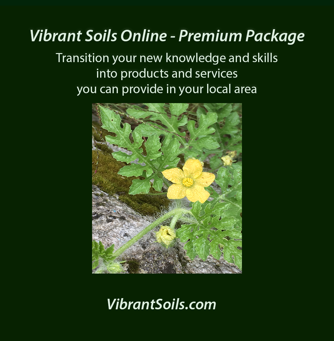 Vibrant Soils Online - Mentoring Premium Package