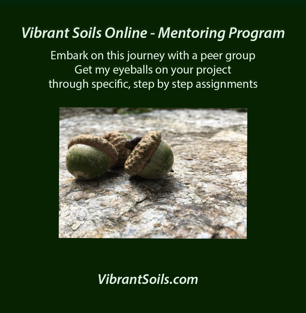 Vibrant Soils Online - Mentoring Program
