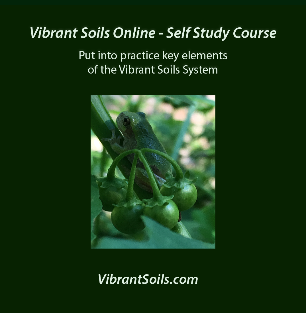 SelfStudyCourseVibrantSoilsSystem.png
