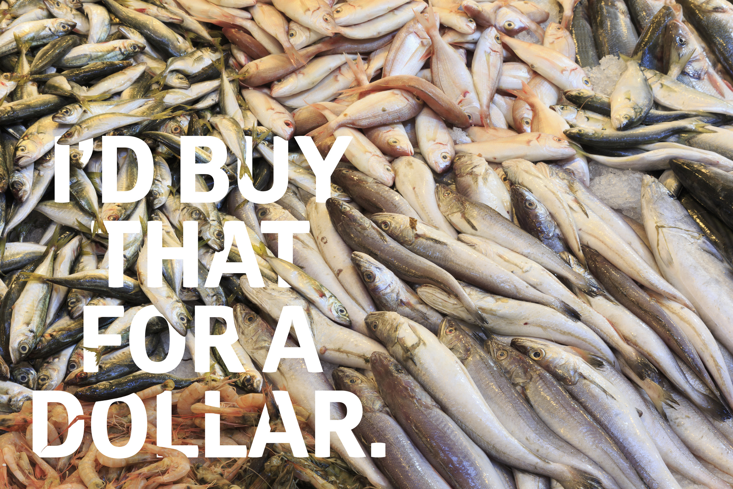  Deep Cut Movie Quotes // Poster Series 