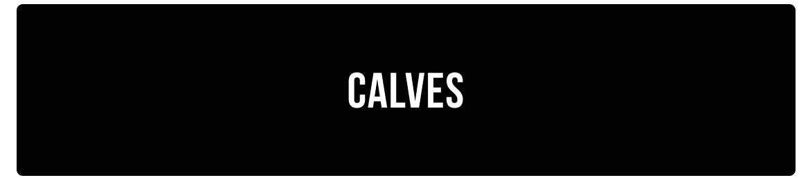 CALVESA.png