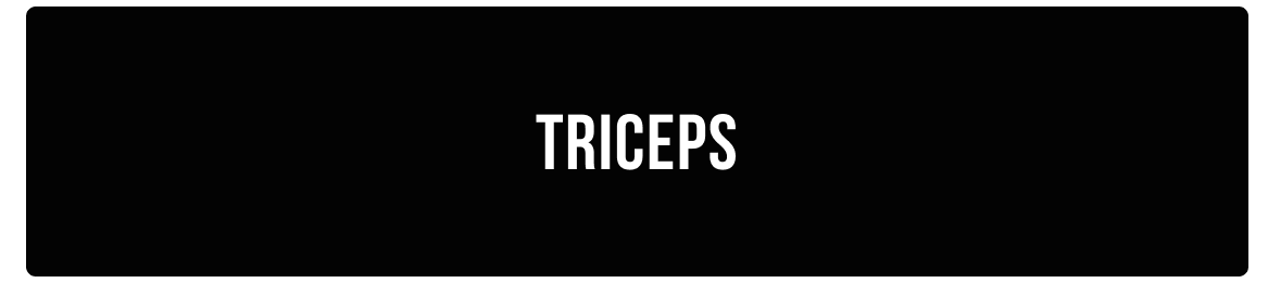 triceps.png