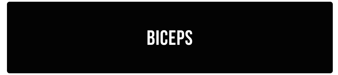 biceps.png