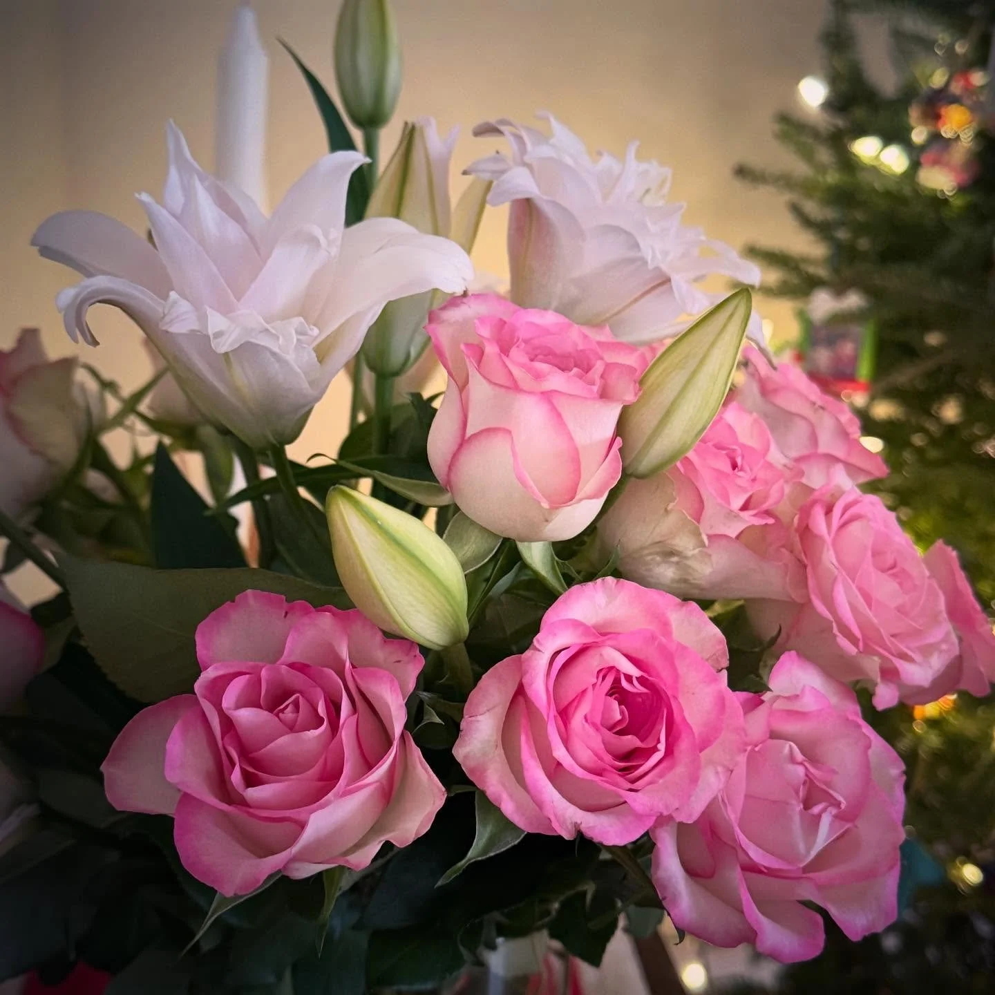 It is at the edge of the petal that love waits - William Carlos Williams 

Peaceful and sweet last days of December after a difficult year. Thank you @bbeckster_7 for reminding me to have flowers

#florals #roses #lillies
