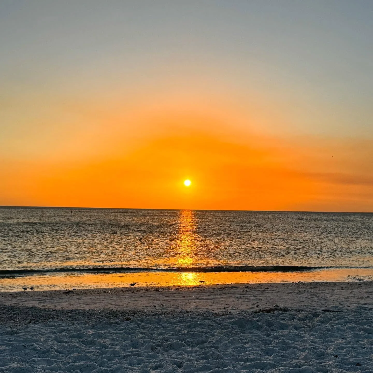 Hello sunset 🫶🏻 🌅 #lidobeach #florida #lidokey #iphonephotography #nofilter