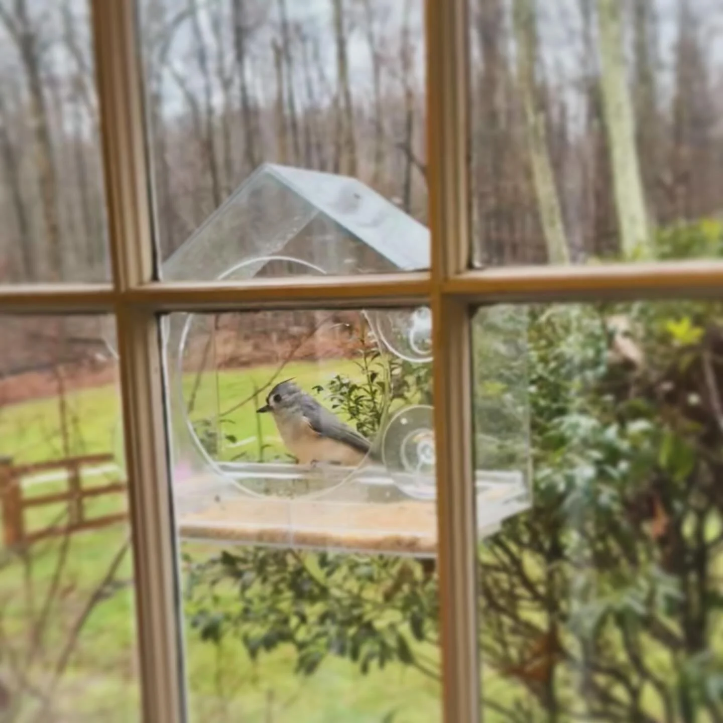 Thankful. #thanksgiving