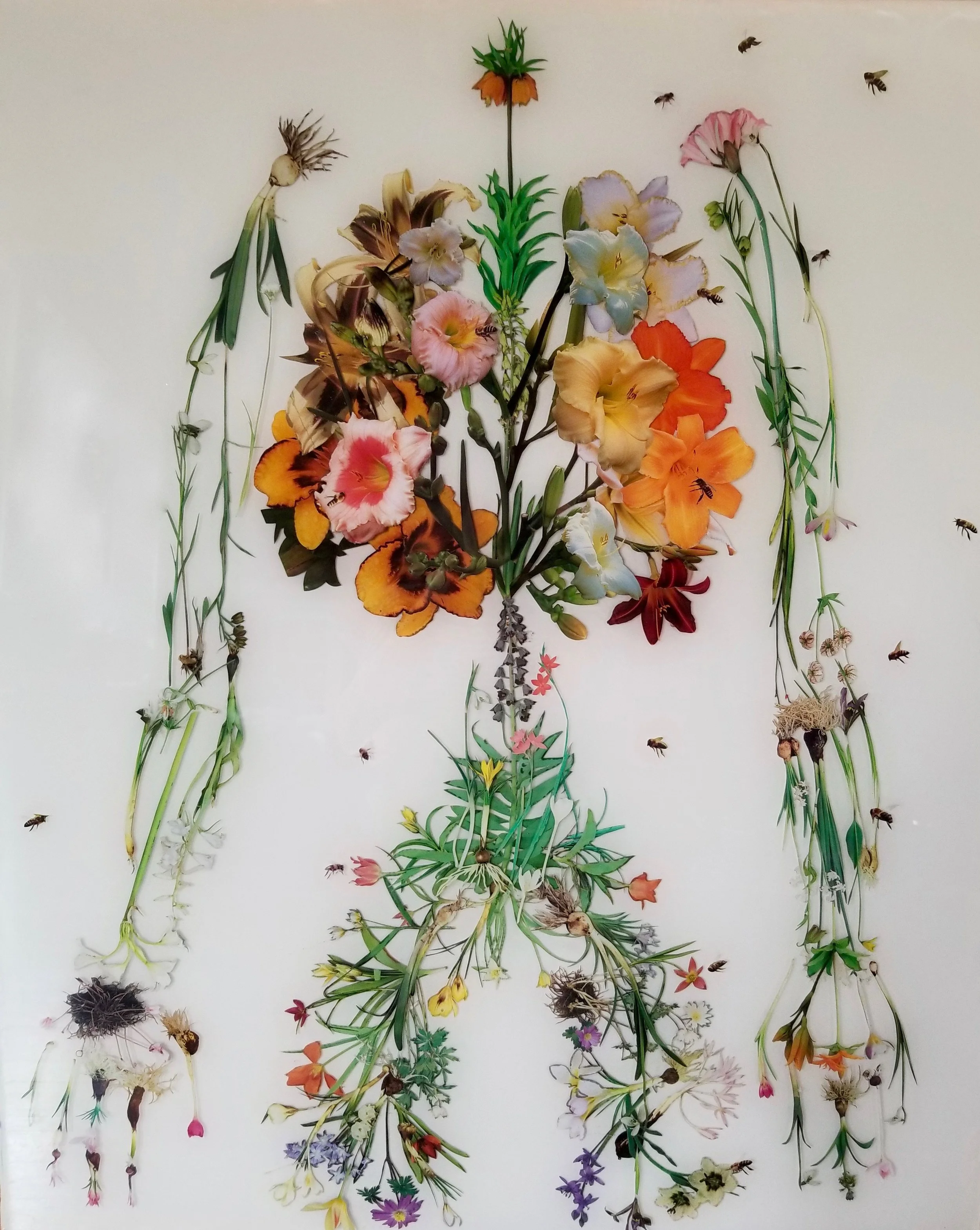 "Human Nature", 30" X 36", collage and resin on wood panel, 2018