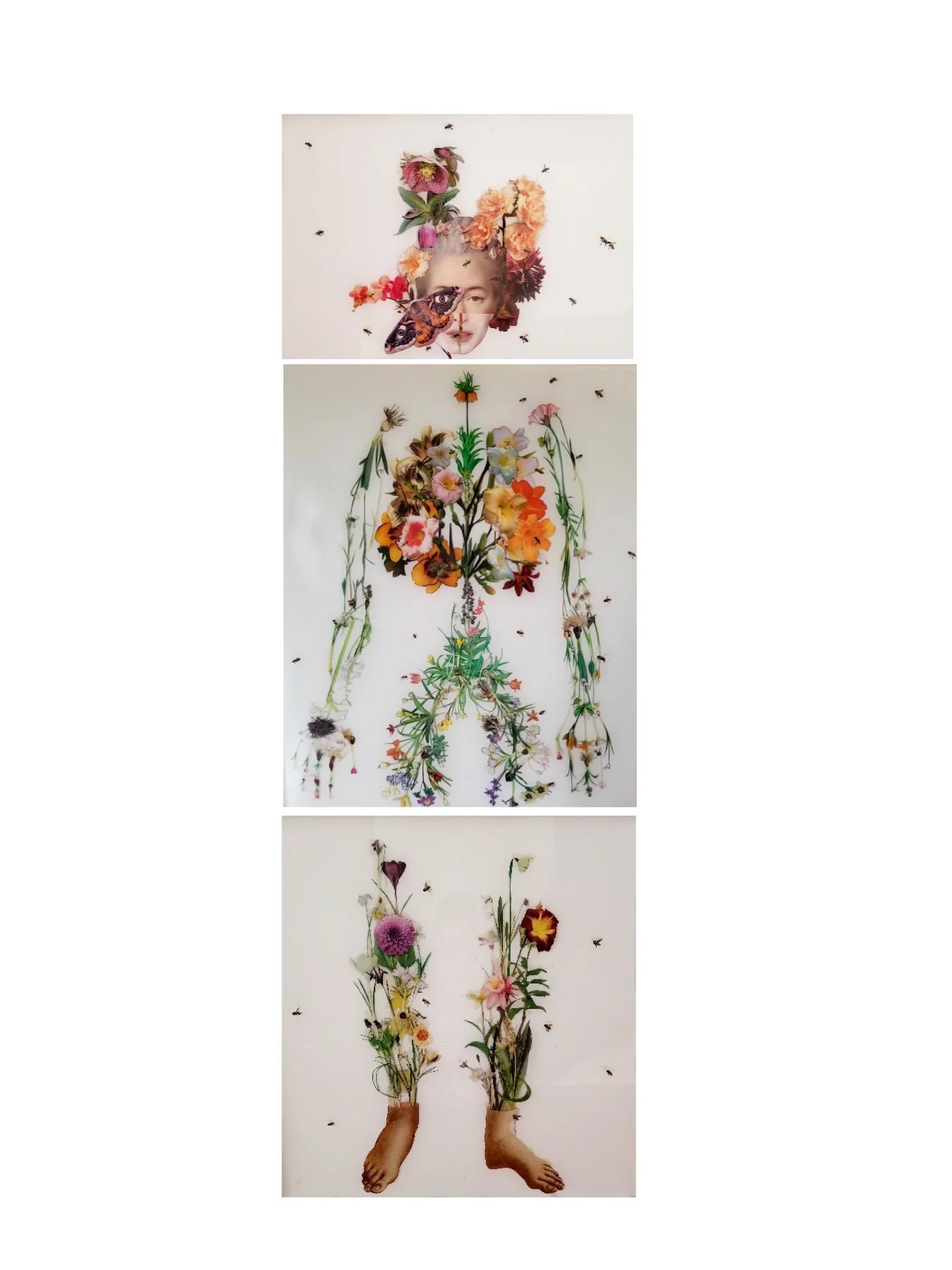 “Human Nature”, triptych, 30” X 86” x 2”, resin and collage on birch panel, 2019