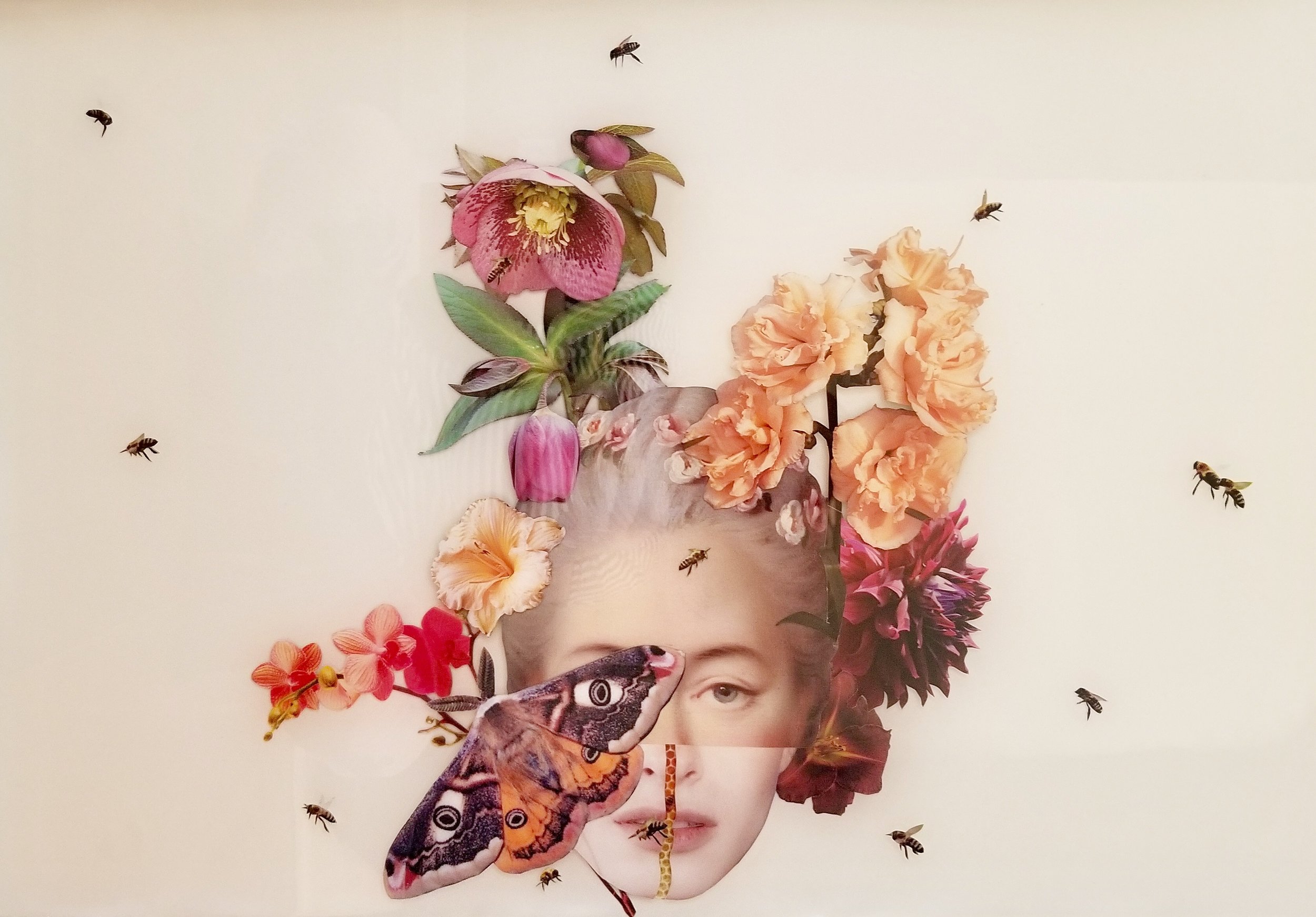 "Hive Mind", 20" X 30", collage and resin on birch panel, 2019.
