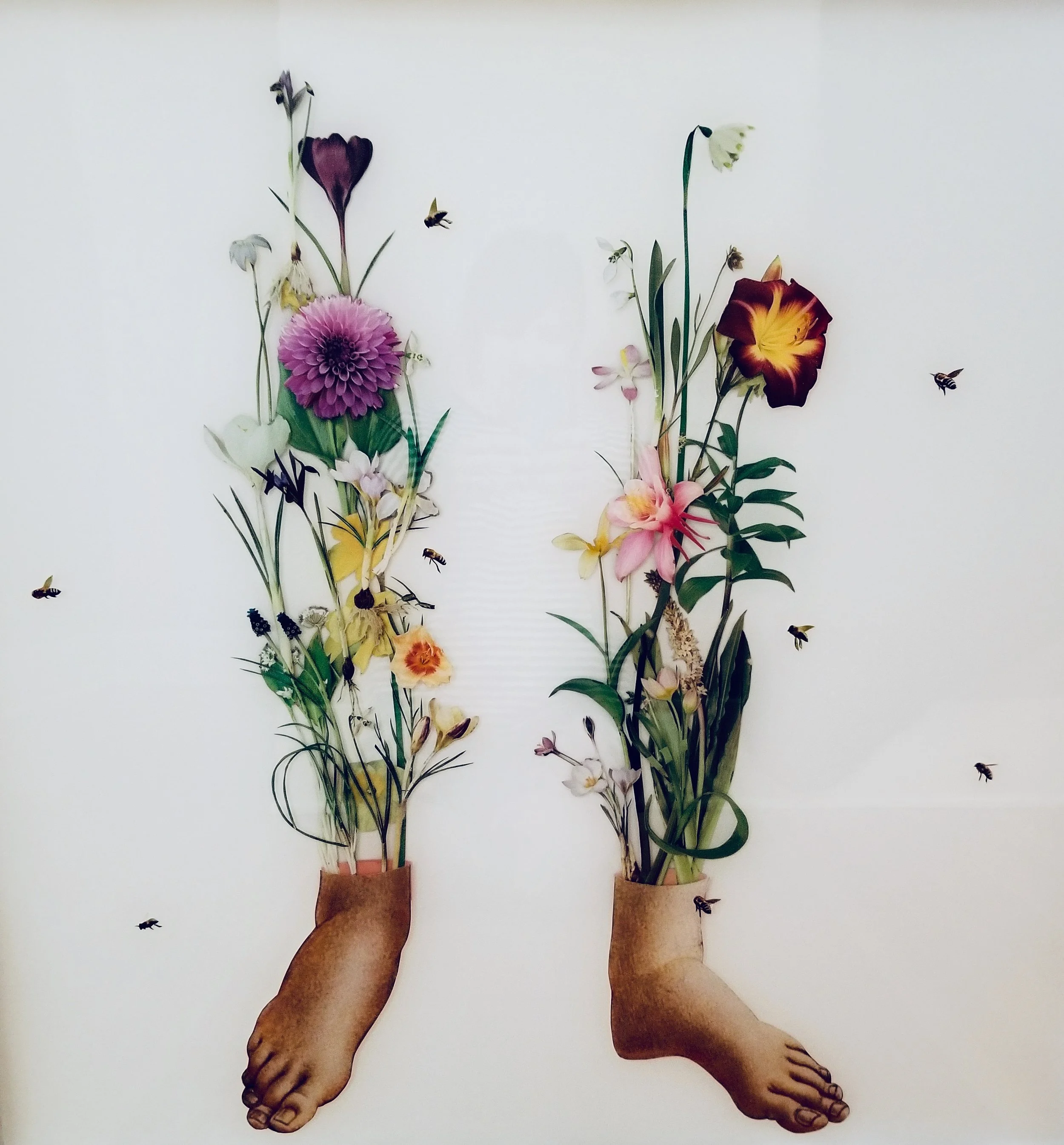 "Rooted", 30" X 30", collage and resin on birch panel, 2019.