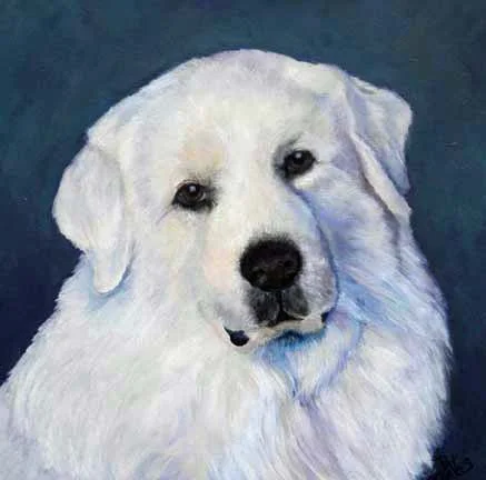 20 x 20 SOLD Oil on Canvas