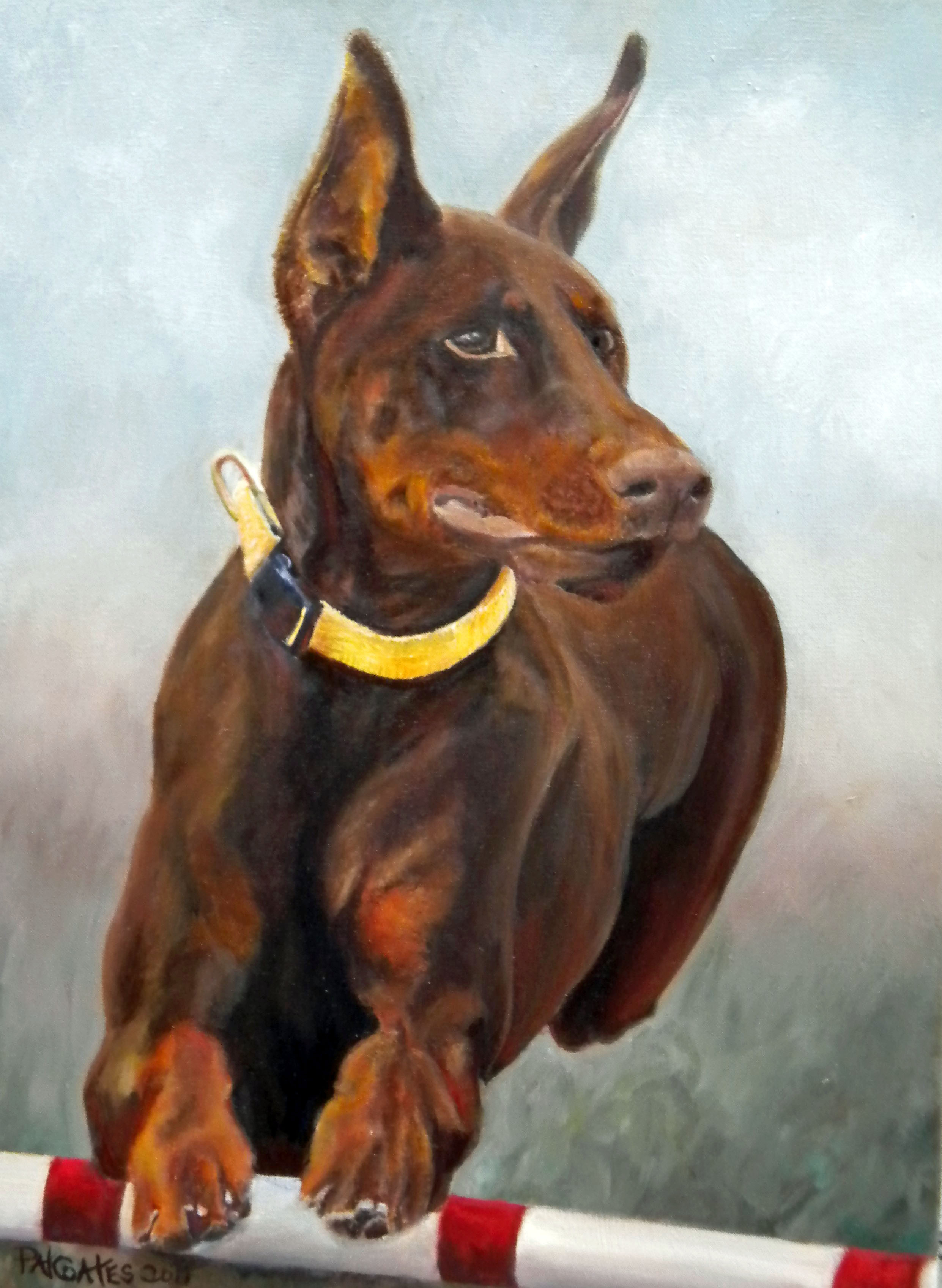 16 x 20 SOLD Oil on Canvas