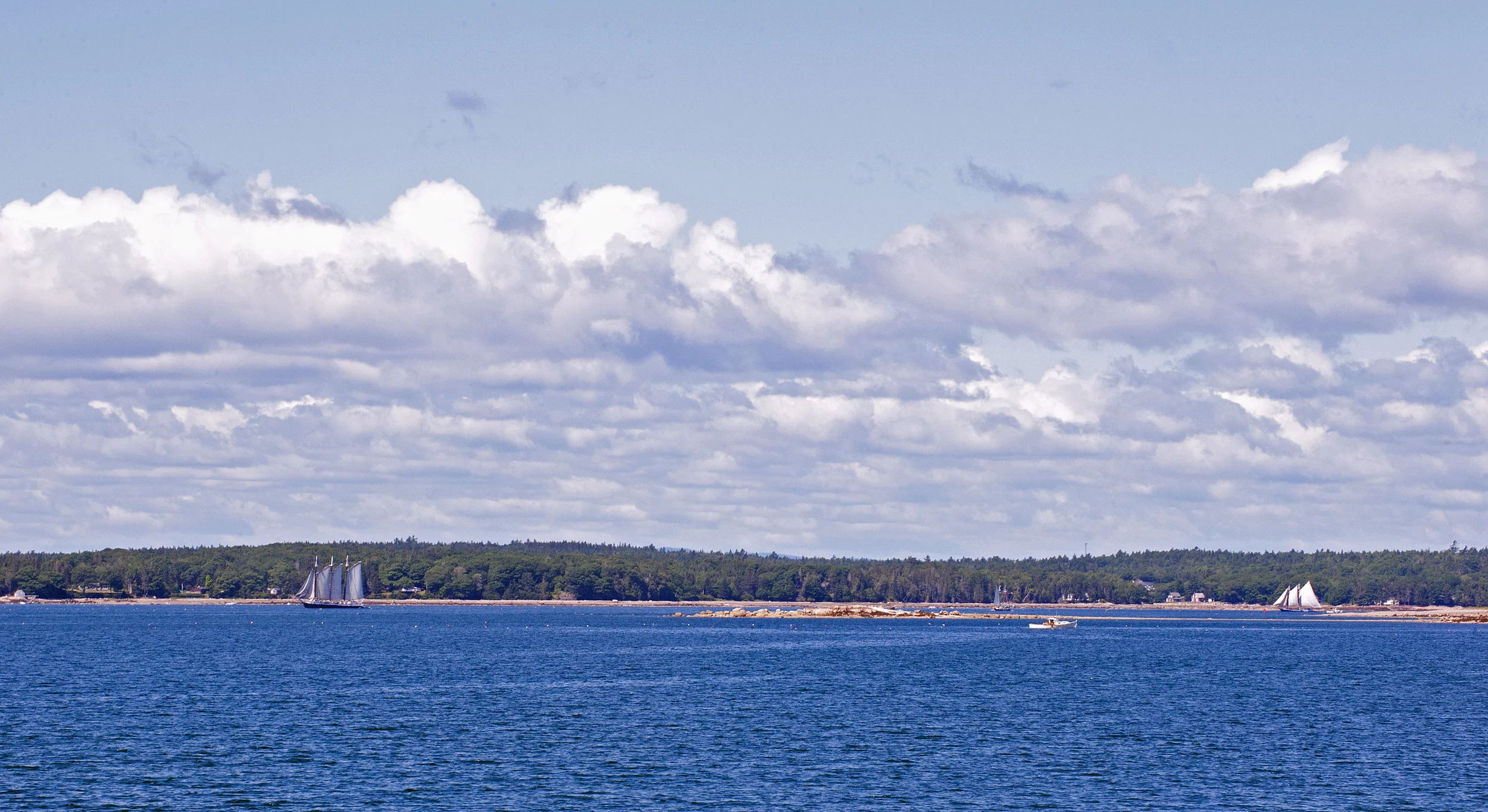 Five Windjamming Visitors