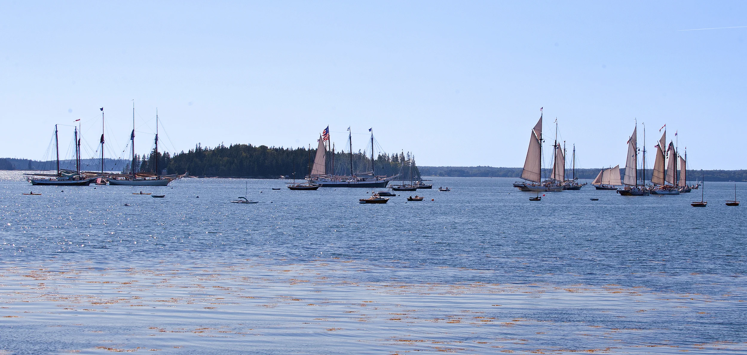 (© 2015 R J Leighton)