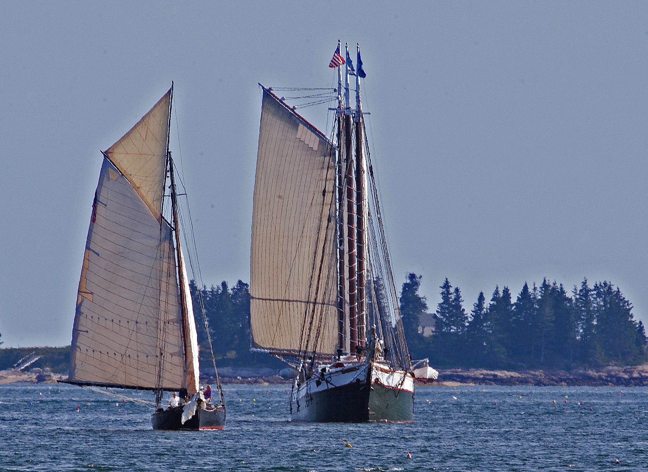 (© 2015 R J Leighton)